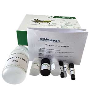 土壤&beta;葡萄糖苷酶(S-&beta;-GC)/纖維二糖酶測試盒/分光光度法主圖